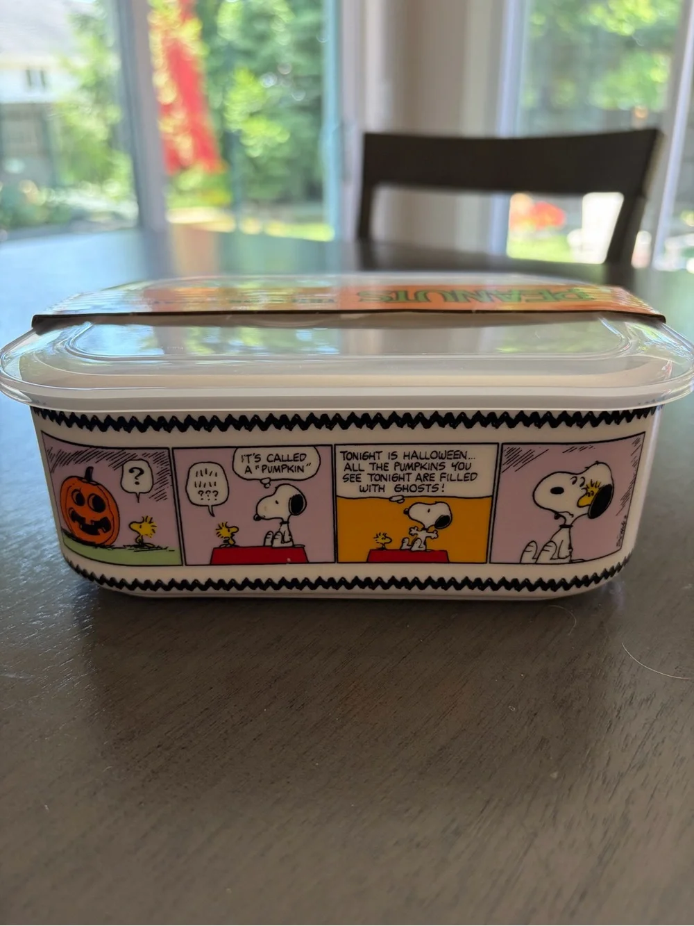 Peanuts Snoopy Halloween Comic Ceramic Food Storage NWT